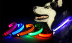 LED Pet Collar